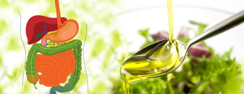 L’huile d’olive stimule la digéstion