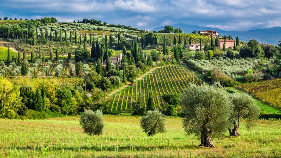 Huile d’olive toscane : un avant-goût de la riche histoire de la Toscane